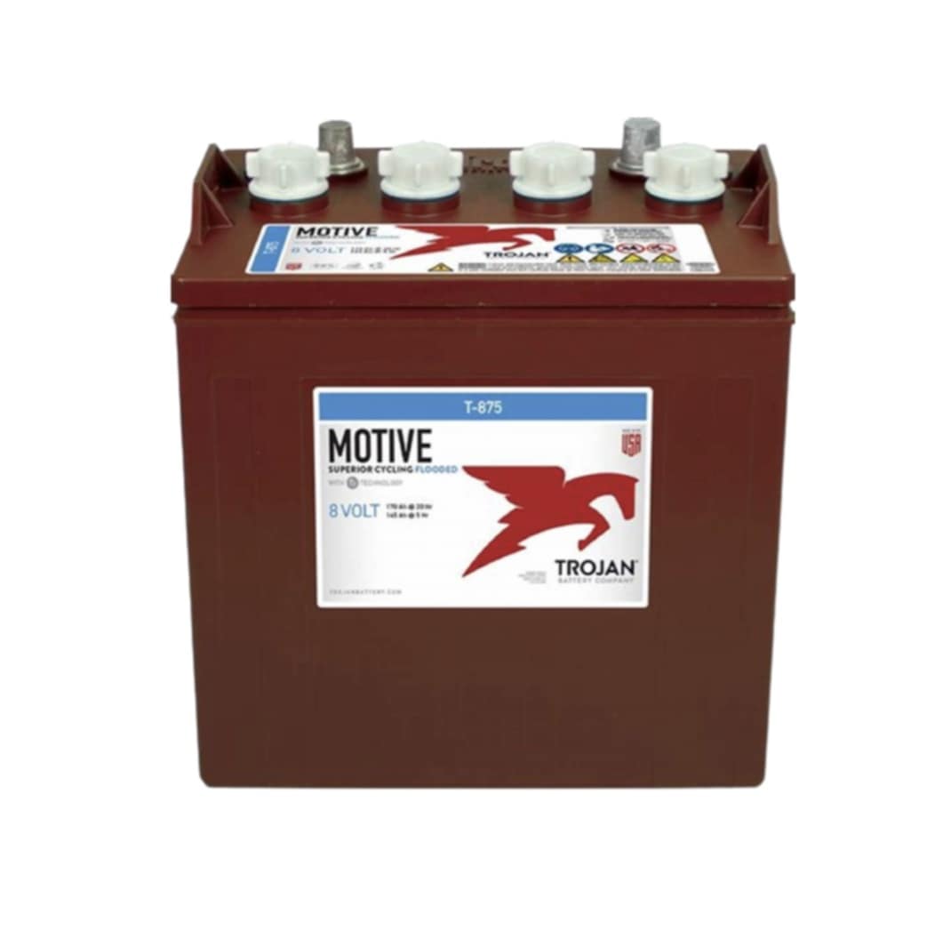 Batterie Trojan 8 volts
